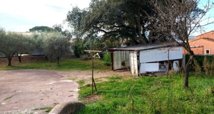 Puget-sur-Argens Maison neuve - 2299494-11157annonce120251009ZXSJv.jpeg Maisons France Confort