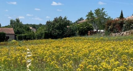 Arthès Maison neuve - 2301730-2684annonce220251010dLqOa.jpeg Maisons France Confort