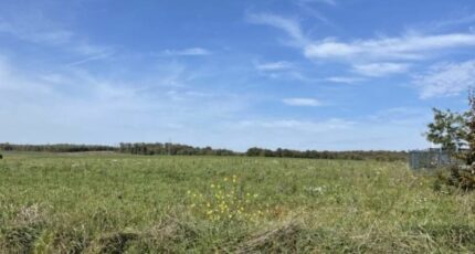 Saint-Hilaire-de-la-Noaille Terrain à bâtir - 2303766-11292annonce2202510130SxpD.jpeg Maisons France Confort