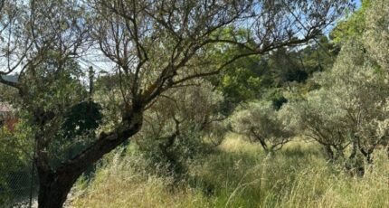 Carnoules Terrain à bâtir - 2304859-440annonce220251014wKzXJ.jpeg Maisons France Confort