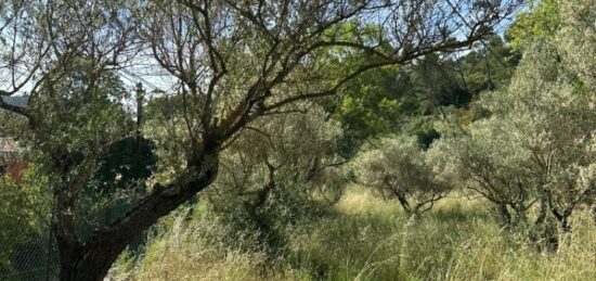 Terrain à bâtir à Carnoules, Provence-Alpes-Côte d'Azur