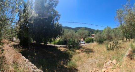 Carnoules Terrain à bâtir - 2304859-440annonce320251014AKtd4.jpeg Maisons France Confort