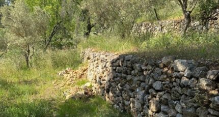 Carnoules Terrain à bâtir - 2304859-440annonce5202510147vs8X.jpeg Maisons France Confort