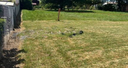 Albi Maison neuve - 2303285-2684annonce320251013I9Ker.jpeg Maisons France Confort