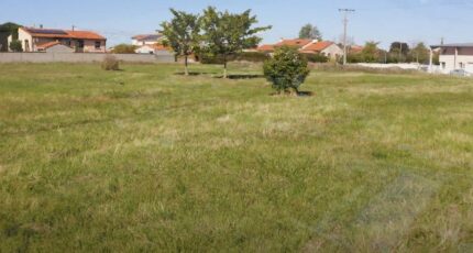 Pins-Justaret Terrain à bâtir - 2305152-10326annonce220251014H71r5.jpeg Maisons France Confort