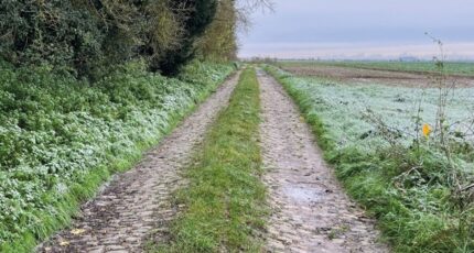 Roucourt Terrain à bâtir - 2305930-7246annonce120251015fid78.jpeg Maisons France Confort