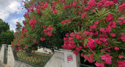 Mérignac Terrain à bâtir - 2306261-11382annonce120251015uVAO0.jpeg Maisons France Confort