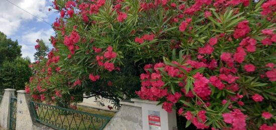 Terrain à bâtir à Mérignac, Nouvelle-Aquitaine