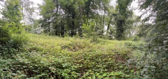 Maison neuve à , Yvelines