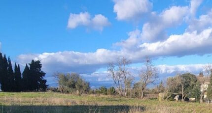 Castelnau-d'Aude Maison neuve - 2307166-10986annonce120250626duRV0.jpeg Maisons France Confort