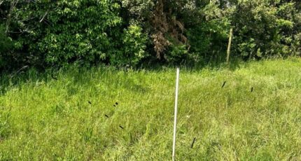 La Destrousse Maison neuve - 2270276-7054annonce120250913dQJr4.jpeg Maisons France Confort