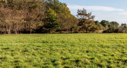 Cocumont Terrain à bâtir - 2267295-10776annonce120250911zgJNc.jpeg Maisons France Confort