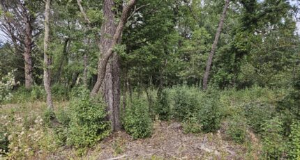 Tourrettes Maison neuve - 2308541-5163annonce120251010ZZZJT.jpeg Maisons France Confort