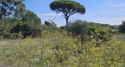 Puget-sur-Argens Maison neuve - 2308542-5163annonce2202510131fOeu.jpeg Maisons France Confort