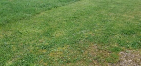 Terrain à bâtir à Saint-Quentin-de-Baron, Nouvelle-Aquitaine