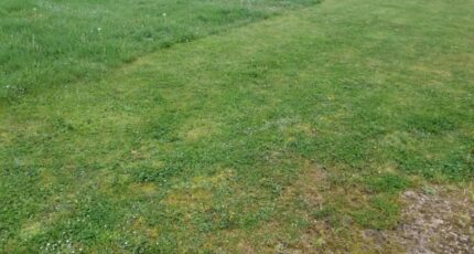 Saint-Quentin-de-Baron Maison neuve - 2308544-11266annonce120251017tZhWq.jpeg Maisons France Confort