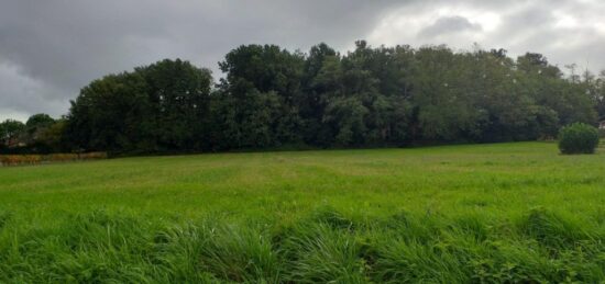 Terrain à bâtir à Targon, Nouvelle-Aquitaine