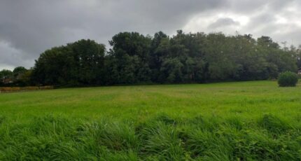 Daignac Terrain à bâtir - 2308675-11266annonce120251017Jrkim.jpeg Maisons France Confort