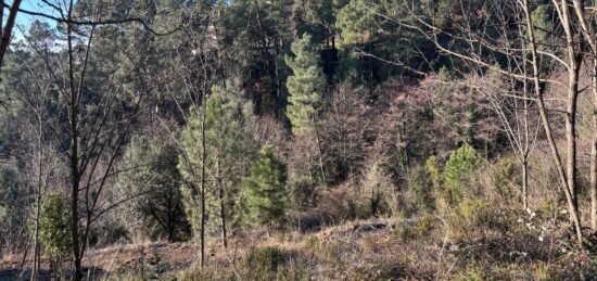 Terrain à bâtir à Joyeuse, Auvergne-Rhône-Alpes