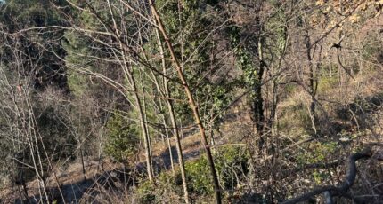 Joyeuse Terrain à bâtir - 2264532-5100annonce120250908MgN0U.jpeg Maisons France Confort