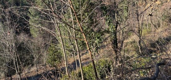 Terrain à bâtir à , Ardèche