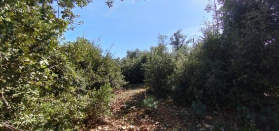 Terrain à bâtir à , Ardèche