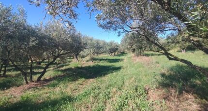 Vagnas Maison neuve - 2246155-5100annonce120250818Bw2NB.jpeg Maisons France Confort