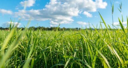 Saint-Médard-d'Eyrans Maison neuve - 2267171-11306annonce120250910excGM.jpeg Maisons France Confort