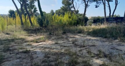 Septèmes-les-Vallons Terrain à bâtir - 2309419-11238annonce2202510179nmZL.jpeg Maisons France Confort