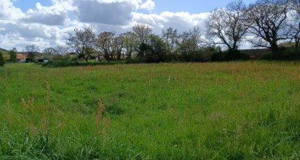 Saint-Sulpice-sur-Lèze Terrain à bâtir - 2247305-10326annonce120250820SopwF.jpeg Maisons France Confort