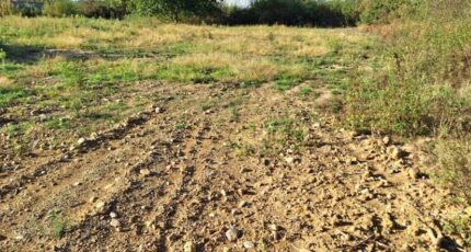 Saint-Lys Maison neuve - 2309345-9555annonce120251017HyTPb.jpeg Maisons France Confort