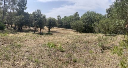 Taradeau Terrain à bâtir - 2310596-10295annonce320250624vNEAs.jpeg Maisons France Confort