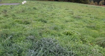 Couzeix Maison neuve - 2310743-3291annonce120251020eDP1h.jpeg Maisons France Confort