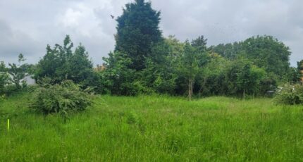 Loon-Plage Maison neuve - 2247155-1587annonce320250819kVFhi.jpeg Maisons France Confort