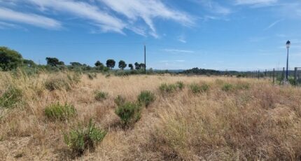 Roubia Terrain à bâtir - 2275737-10986annonce120250918loQ1t.jpeg Maisons France Confort