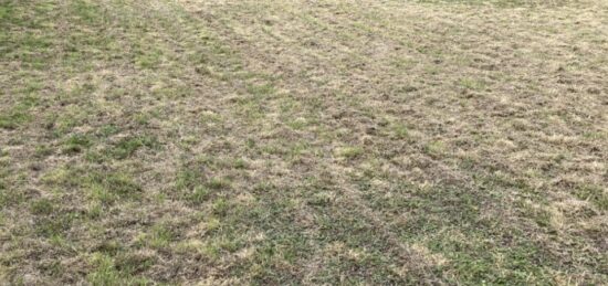 Terrain à bâtir à , Loire-Atlantique