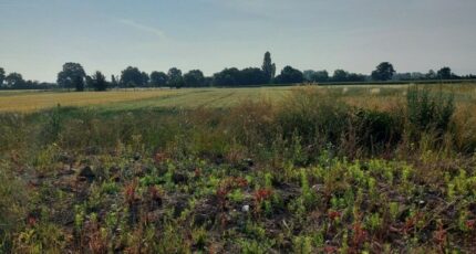 Houssen Terrain à bâtir - 2311368-5767annonce120251020rOSmD.jpeg Maisons France Confort