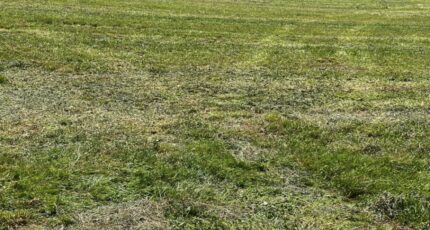 Chaniers Maison neuve - 2312161-10974annonce1202510213Ry9x.jpeg Maisons France Confort