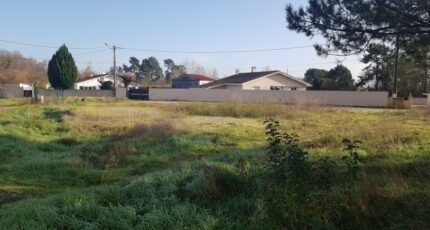 Le Taillan-Médoc Maison neuve - 2312451-11301annonce120251021487RK.jpeg Maisons France Confort