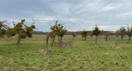 Bû Terrain à bâtir - 2312943-10686annonce120250610Rfa8s.jpeg Maisons France Confort