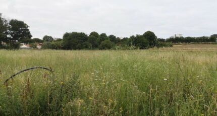 Royan Terrain à bâtir - 2312324-11644annonce220251021lEkFx.jpeg Maisons France Confort