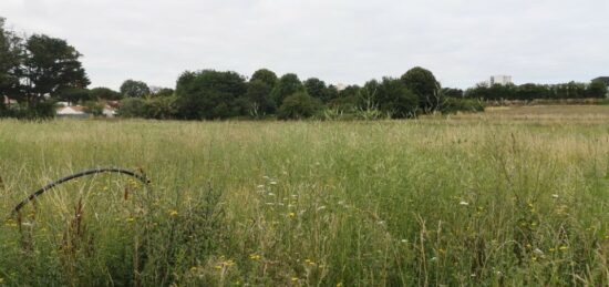 Terrain à bâtir à , Charente-Maritime
