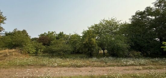 Terrain à bâtir à Sorigny, Centre-Val de Loire