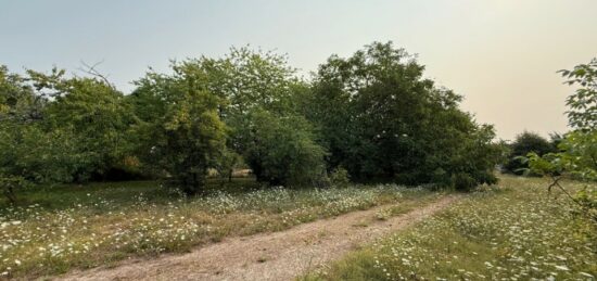 Terrain à bâtir à , Indre-et-Loire