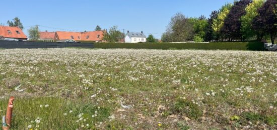 Terrain à bâtir à , Pas-de-Calais