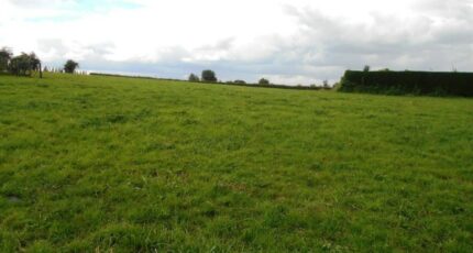 Mortagne-du-Nord Terrain à bâtir - 2244752-10863annonce120250812LdGuS.jpeg Maisons France Confort