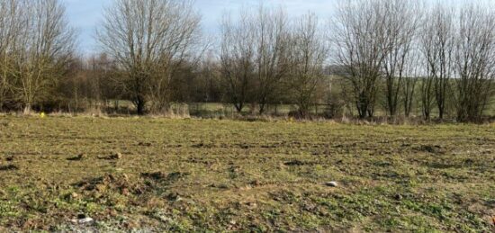 Terrain à bâtir à Petite-Forêt, Hauts-de-France