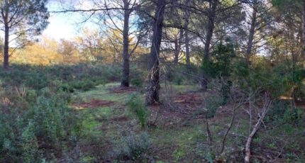 Puget-sur-Argens Maison neuve - 2314469-11157annonce320251022cBcPU.jpeg Maisons France Confort