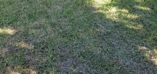 Terrain à bâtir à , Gironde