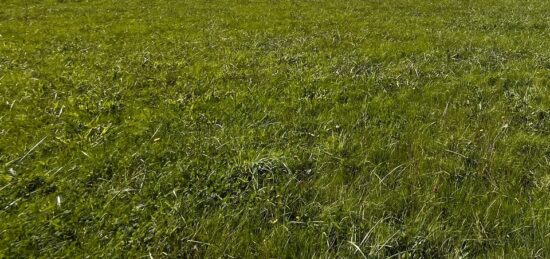 Terrain à bâtir à Jugeals-Nazareth, Nouvelle-Aquitaine